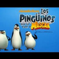 Los Pingüinos Me La Van A Mascar