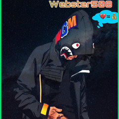 Webster- Bag Chaser