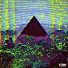 Th@ Kid - PΛLLETTOWN!