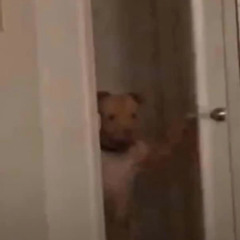 Whats the issue