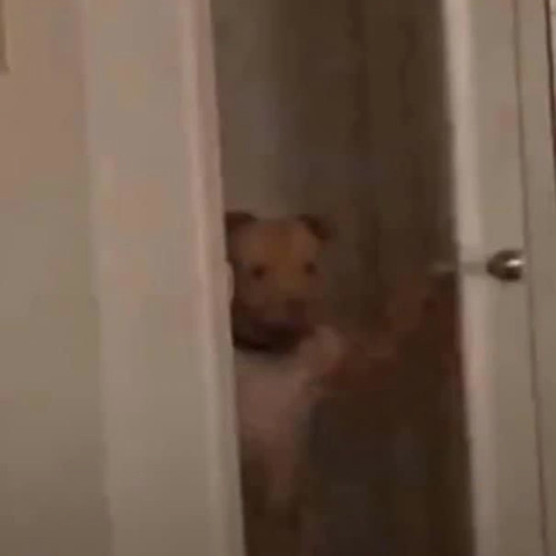 Whats the issue