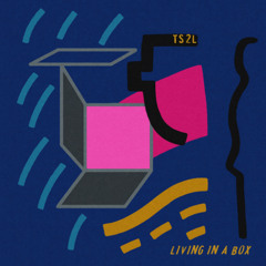 Living in a box (in the style of Living in a box)