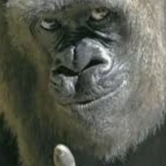 Trả Cho anh - Sawnstone Remix