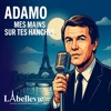 Salvatore Adamo - Mes Mains Sur Tes Hanches (Labellevie Remix)