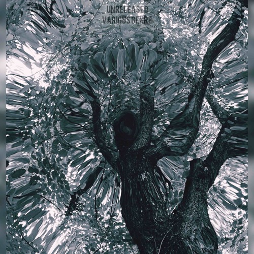 ANIMA -  (Original Mix) FREE DOWNLOAD