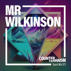 Counterterraism Guest Mix 373: Mr Wilkinson
