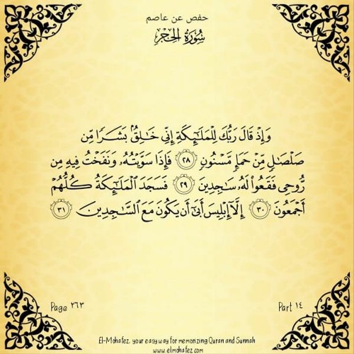 كل يوم آية - الجزء 14 - محمد الغليظ