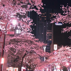 morning in tokio