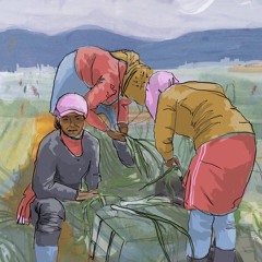 #8 Randa: Exploitation in Lebanon -  ARABIC