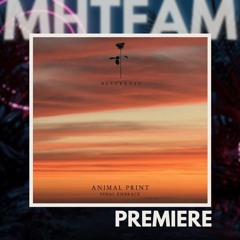 PREMIERE: Animal Print - The One Feat. Luke Coulson (Extended Version) [Black Rose]