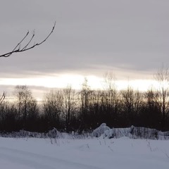 Ян Сибелиус - Увертюра «Карелия»