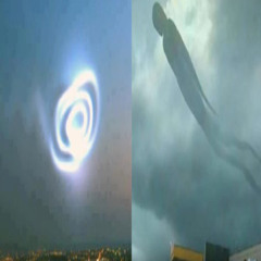 Spiral - Curseweb