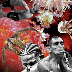 Malacostracology 101