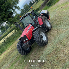 Not Budgie's Thing 🪗