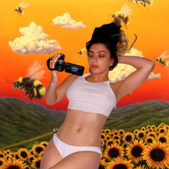 PARTY 4 YOU AGAIN [CHARLI XCX X TYLER, THE CREATOR X KALI UCHIS]