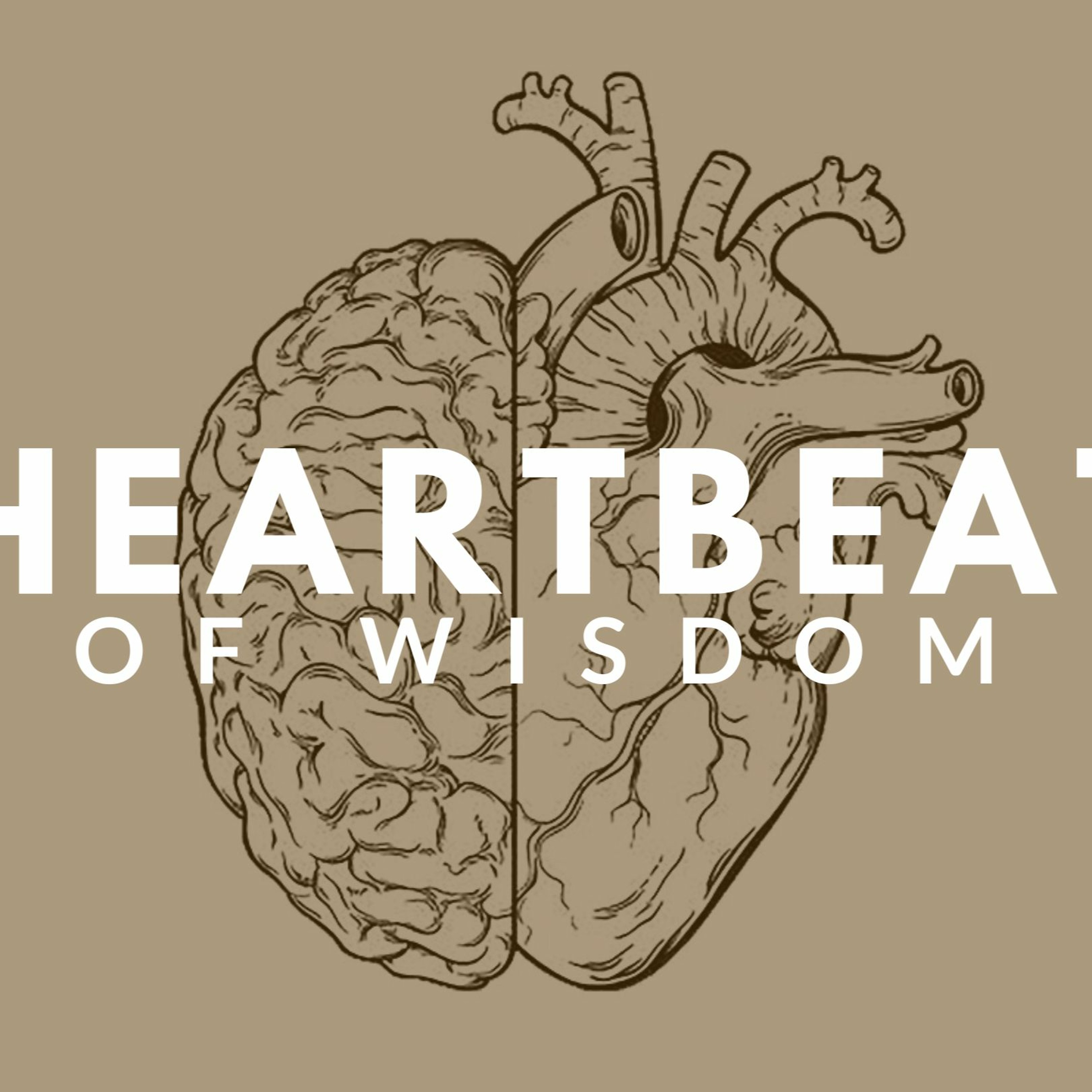 Wisdom of Play episode artwork