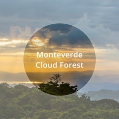 Flow Music Fridays - 11.26.21: Monteverde Cloud Forest