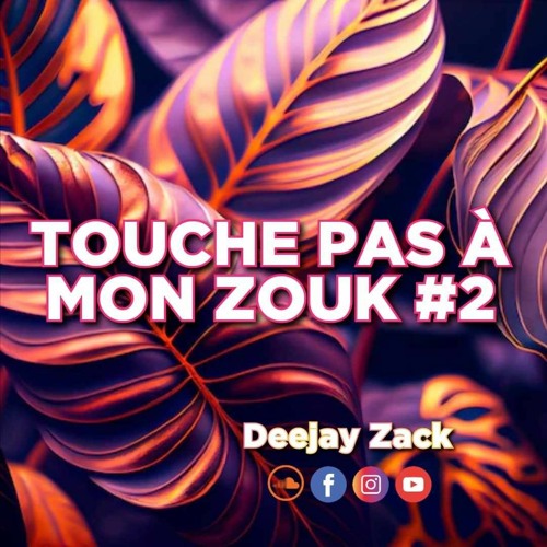 TOUCHE PAS À MON ZOUK #2