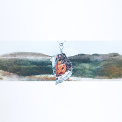 A Sail, A Wind