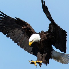 ACHIEVE FAILURE GYM MOTIVATION X RESONANCE X GENSIS X SAM SULEK X TOM PLATZ X RICH PIANA