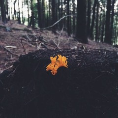 Bienvenidos al post pop