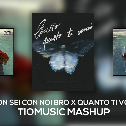 Quanto ti vorrei x Tu non sei con noi BRO (TioMusic Mashup)