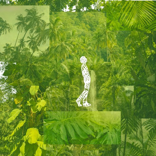 Rainforest Volume 2