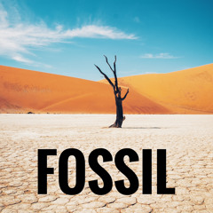 FOSSIL (DEMO)