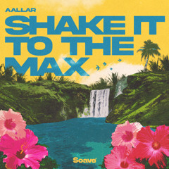AALLAR - Shake It To The Max (FLY)