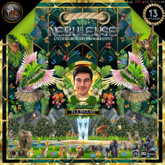 DJ GUEST: ILLIMANI - NEBULEUSE EPISODE 13 - ENCYCLOPEDIA Radioshow hosted by LB & AR 2025