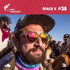 MDLBEAST Frequencies 038 - Space K
