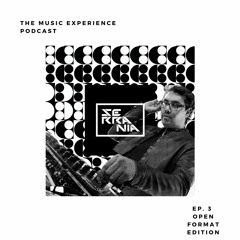 The Music Experience Podcast EP. 3 (Open Format Edition)
