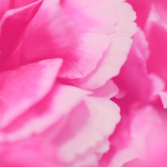 Experiential Kabbalah Meditations - Pure Love - Guided Meditation.wav