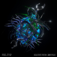 Shawn Who X Mousai - Can You Feel It