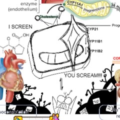 I SCREEN YOU SCREAM - Ace Inhibitor!