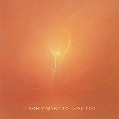 I don`t wanna lose you