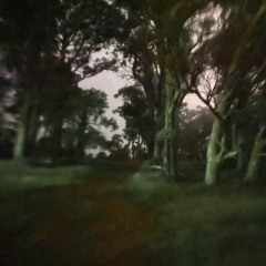 peace of mind (demo)