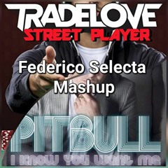 Pitbull X Tradelove - I Know You Want Me X Street Player (Federico Selecta Mashup)