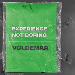 Voldemar - EXPERIENCE NOT BORING
