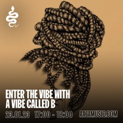 Enter the Vibe w/ A Vibe Called B - Show 003 - AAJA Radio