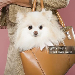 RÊVES-TUTU, 2NOUS2 DEUX ? PETERPARKER69 @location REMIX #ILUVJL