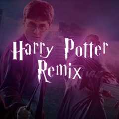 Harry Potter Theme Song_Remix_Nayan Dark Dj