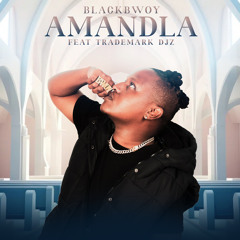 Amandla (feat. Trademark DJz)