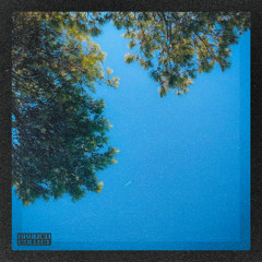 Zesik - Pine