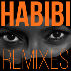 Habibi (G-S Pro Kizomba Remix) [feat. Gilson Furtado]