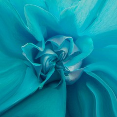 FNCTN Radio Show #13 - Ev