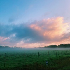 pearl (Harry Styles Fine Line remix)