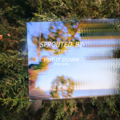 Angrybaby - Put It Down (Sprouted by Natural Energii) | DL in Desc.