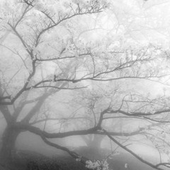existence