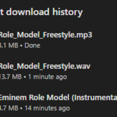Role Model remix